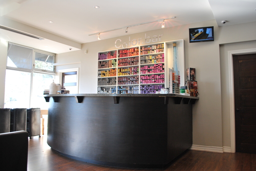 salon interior. colour bar